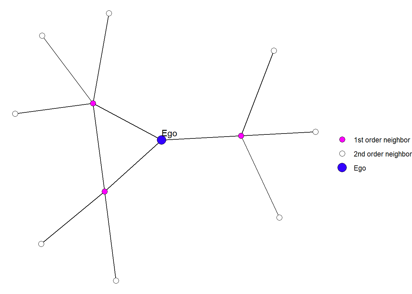 An example of an egocentric network.